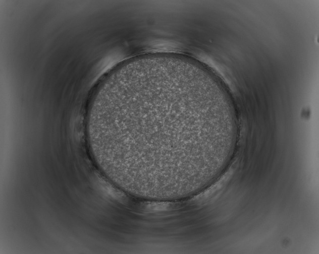 X0000101991211200808081626