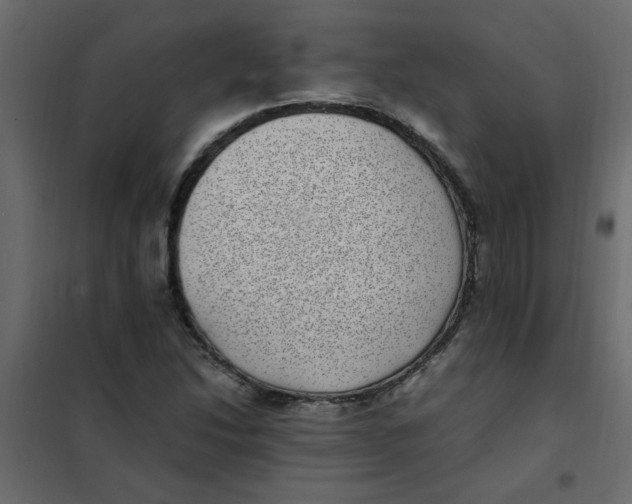 X0000101991214200808081626