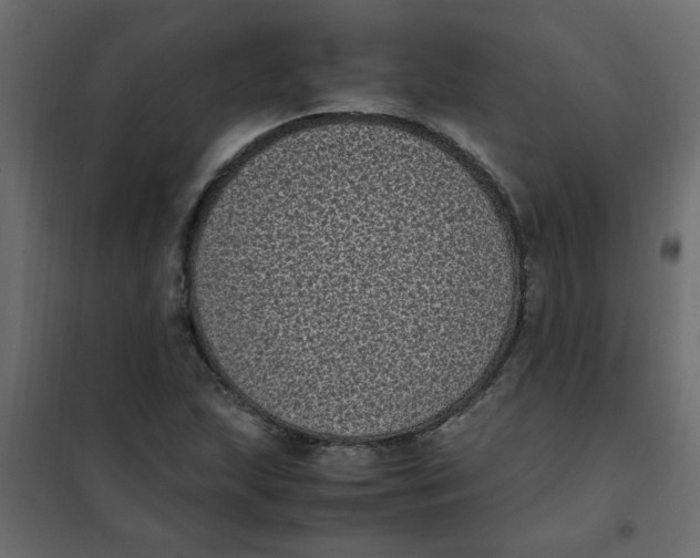 X0000101991215200808081626