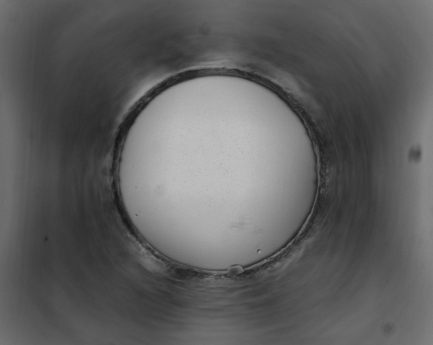 X0000101991216200808081626