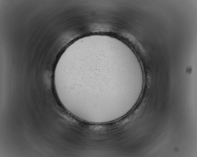 X0000101991217200808081626