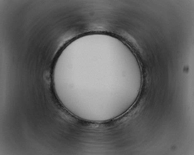 X0000101991218200808081627