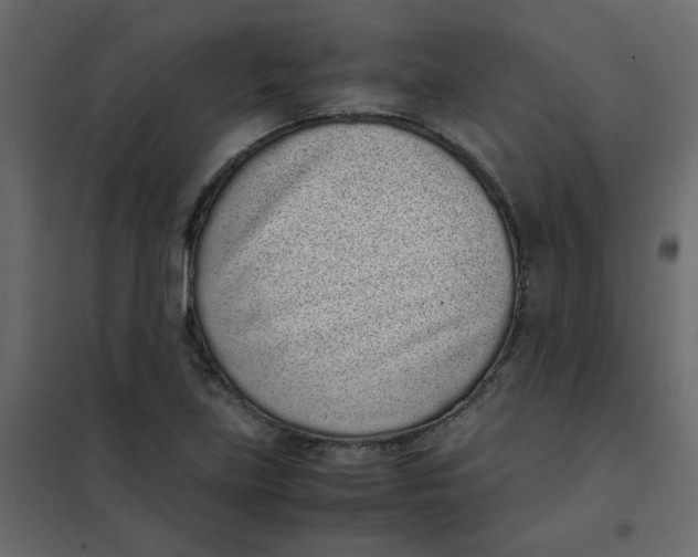 X0000101991219200808081627