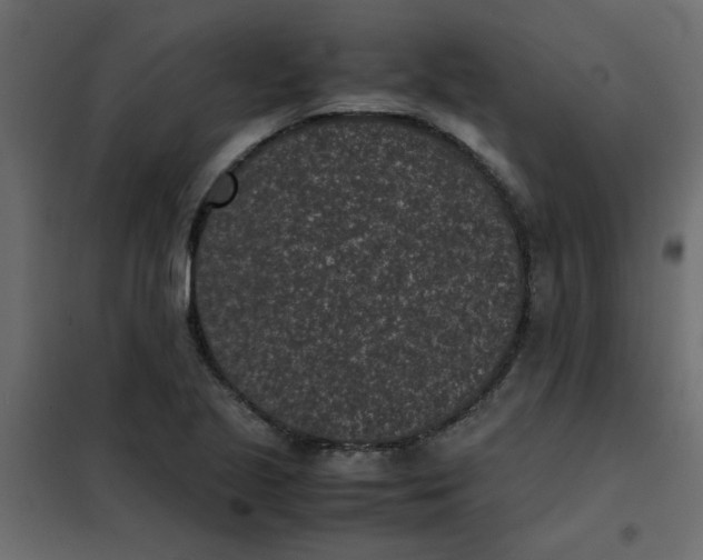 X0000101991221200808081627