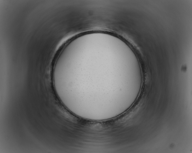 X0000101991222200808081627