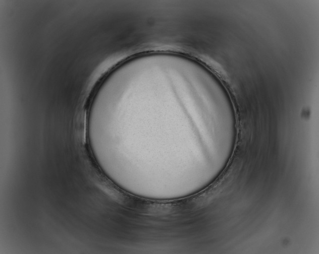 X0000101991223200808081627