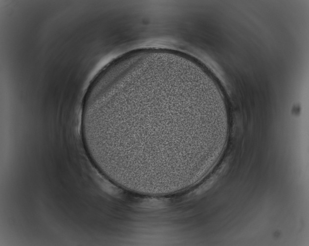 X0000101991224200808081627