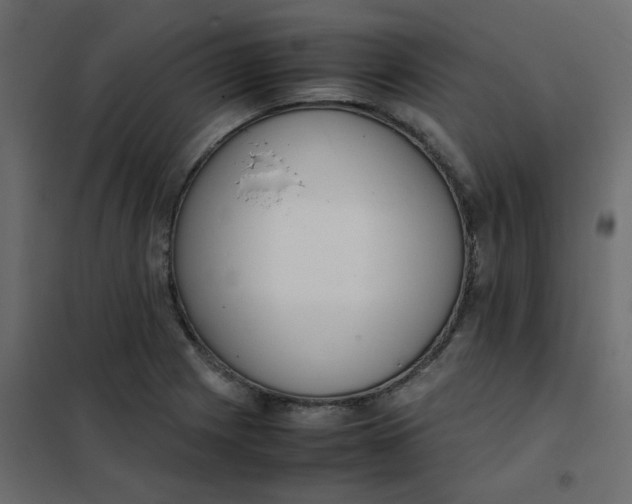 X0000101991225200808081627