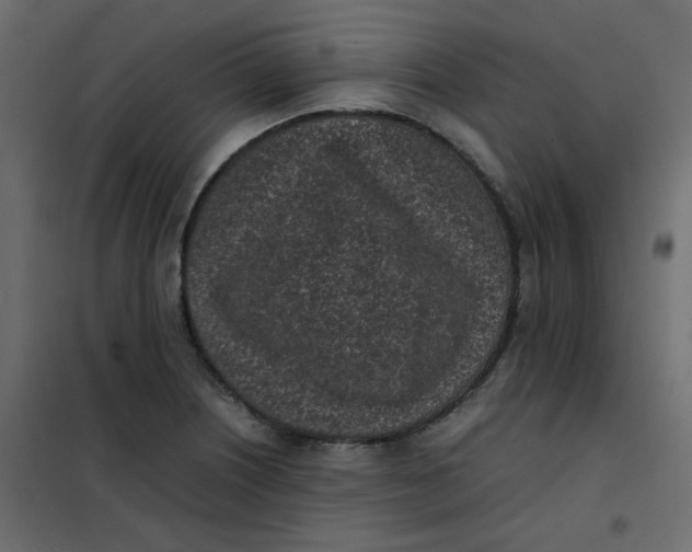 X0000101991226200808081627