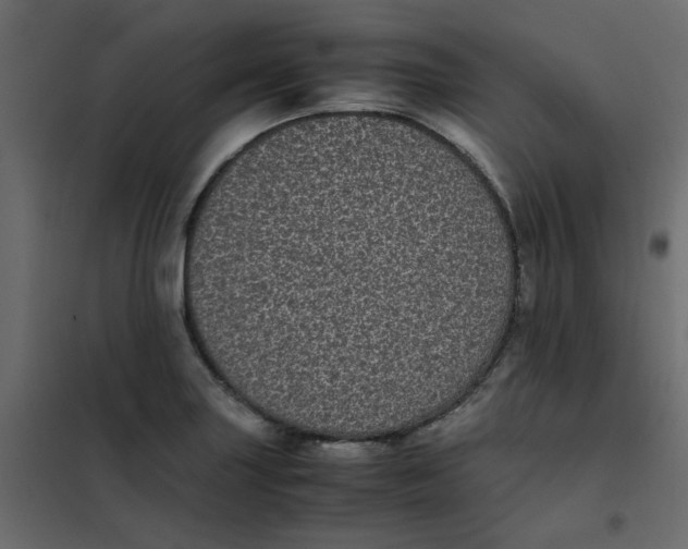 X0000101991227200808081627