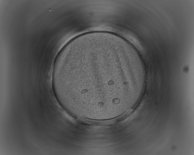 X0000101991228200808081627