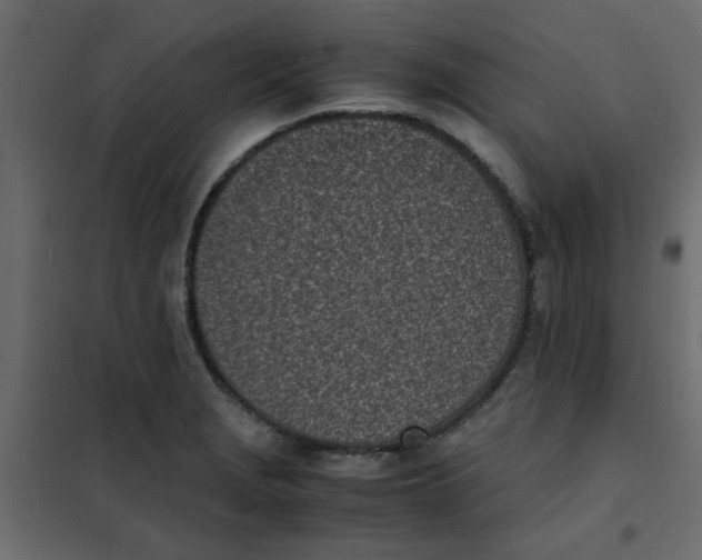 X0000101991229200808081627