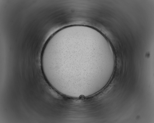 X0000101991230200808081627