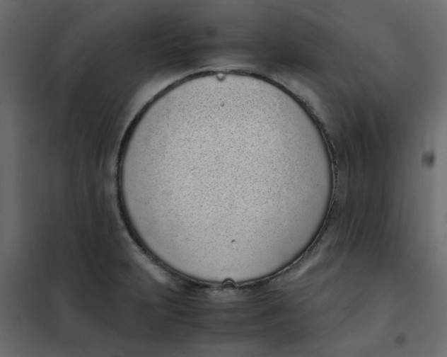 X0000101991231200808081627