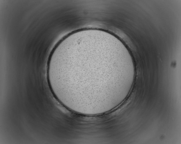 X0000101991232200808081627