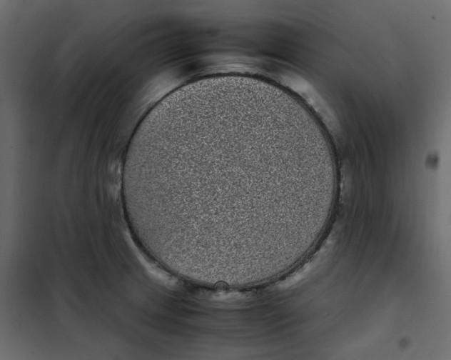 X0000101991233200808081627