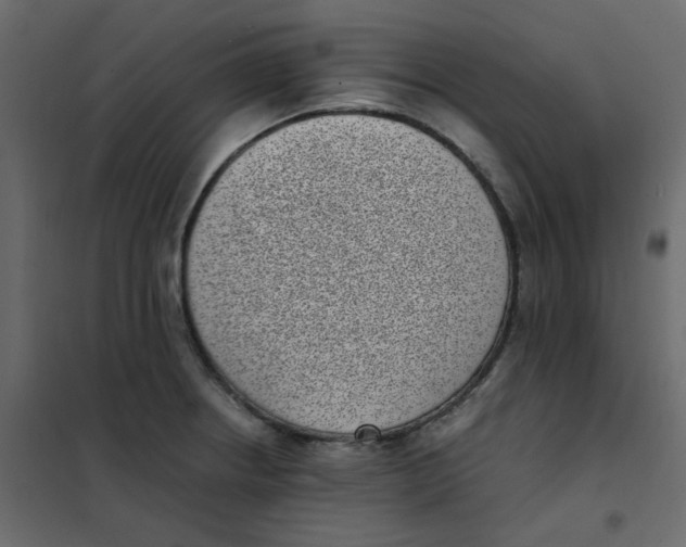 X0000101991234200808081627