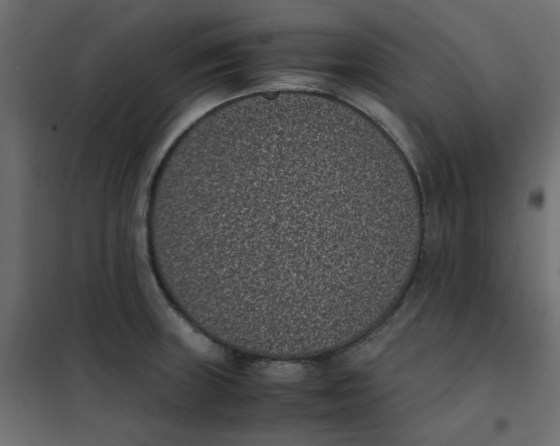 X0000101991235200808081627