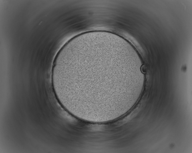 X0000101991236200808081627