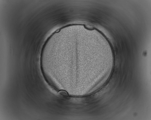 X0000101991237200808081627