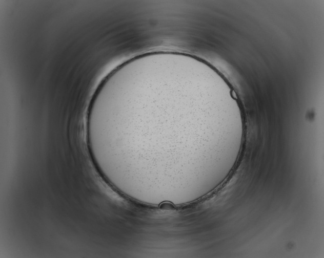 X0000101991238200808081627