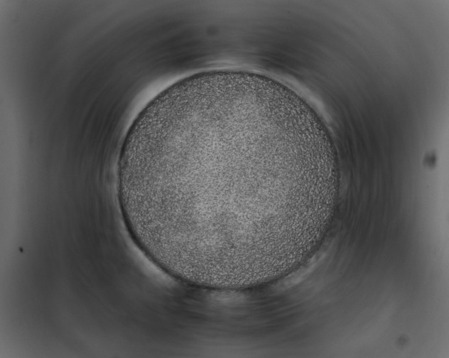 X0000101991239200808081627