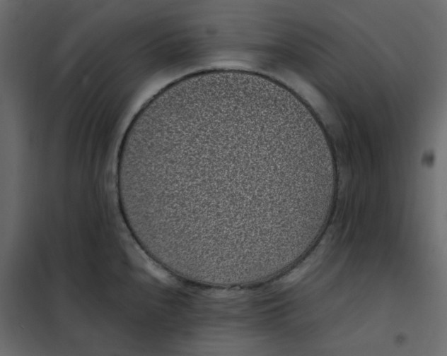 X0000101991240200808081627