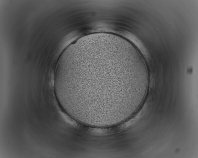 X0000101991241200808081627