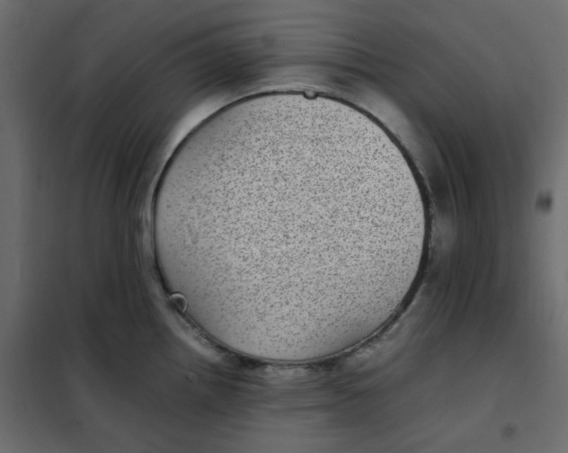 X0000101991242200808081627