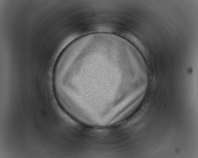 X0000101991243200808081627