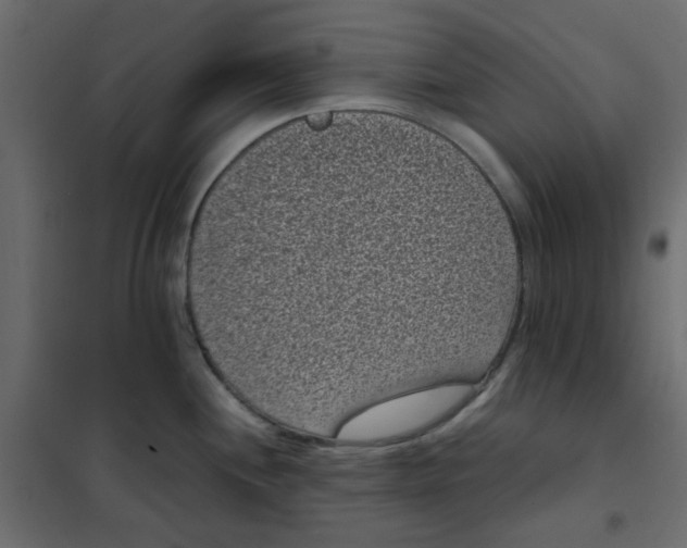 X0000101991244200808081627