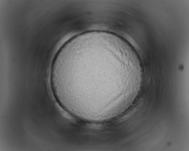 X0000101991245200808081627