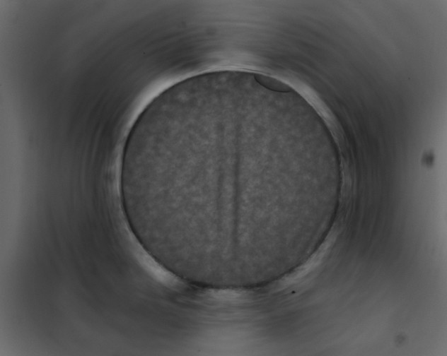 X0000101991246200808081627