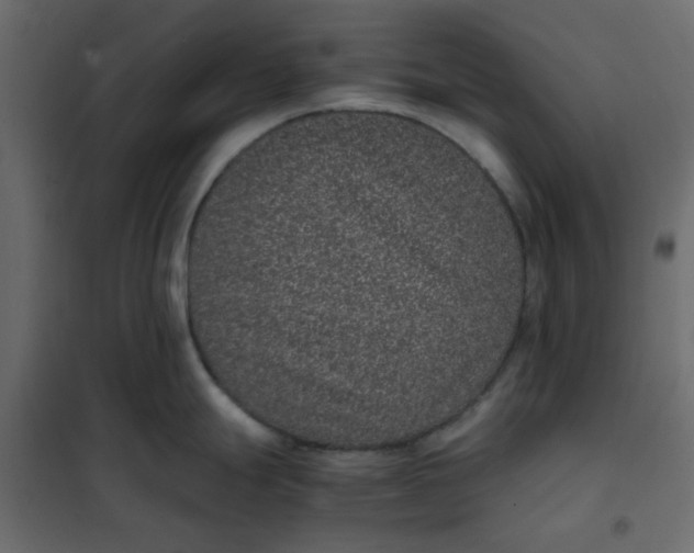 X0000101991247200808081627