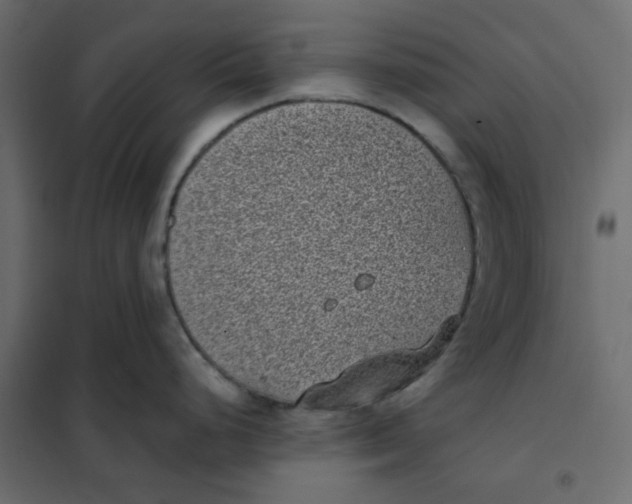 X0000101991248200808081627