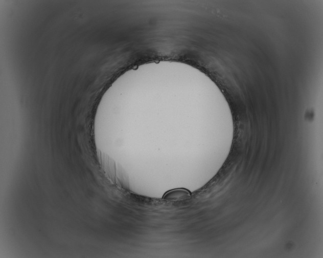 X0000101991249200808081626