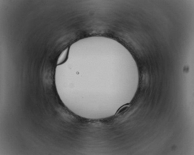 X0000101991250200808081626