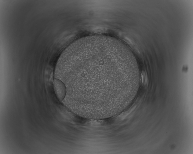 X0000101991251200808081626