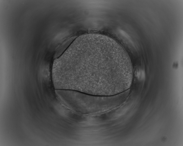 X0000101991252200808081626