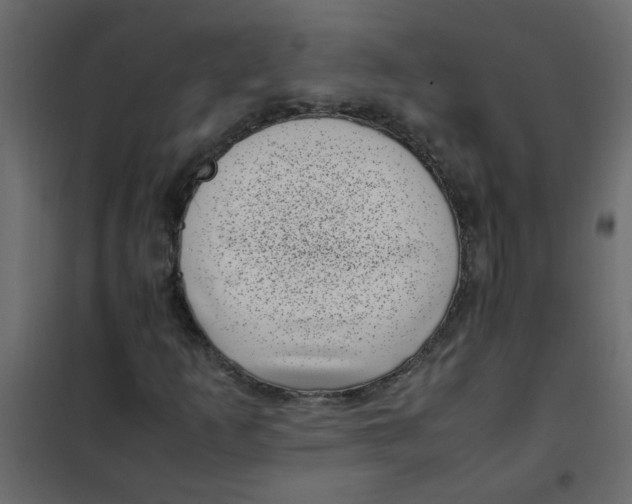 X0000101991253200808081626