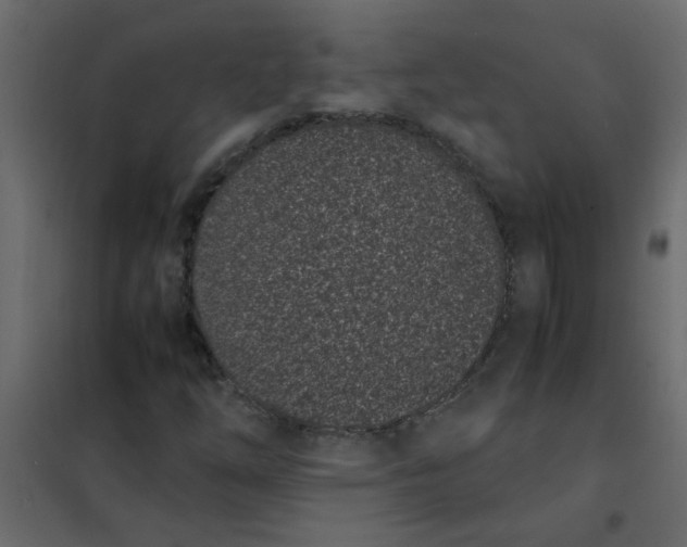 X0000101991254200808081626