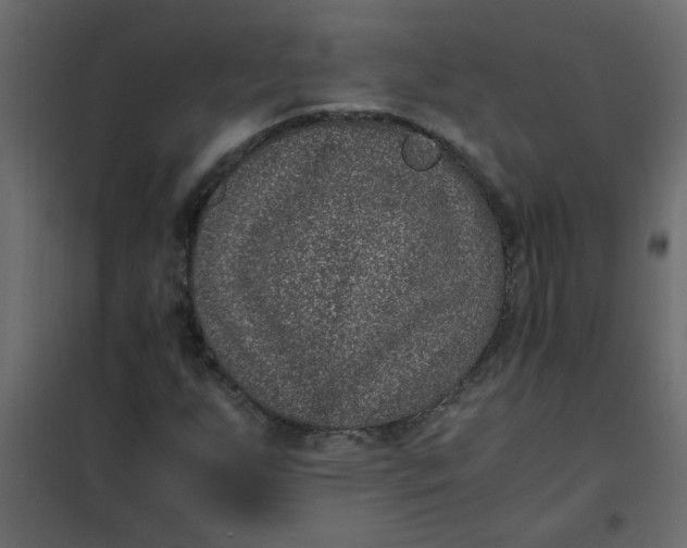 X0000101991255200808081626