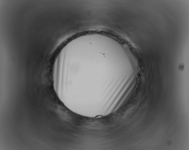 X0000101991256200808081626