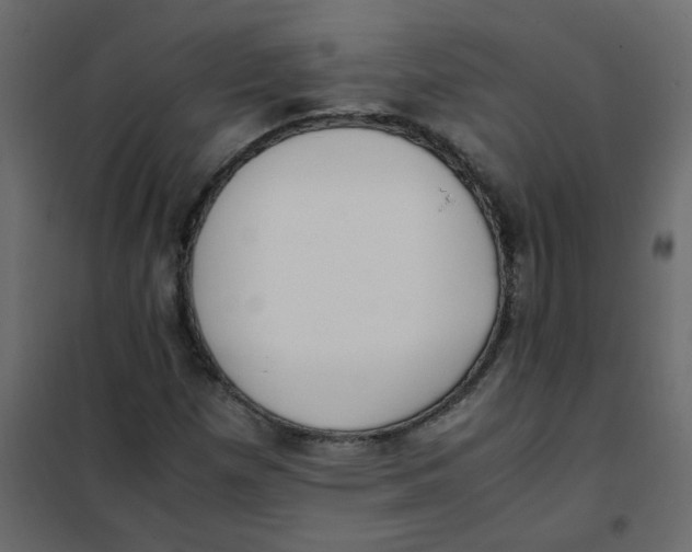 X0000101991257200808081626