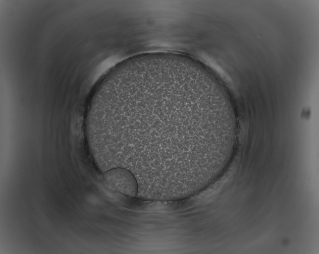 X0000101991259200808081626