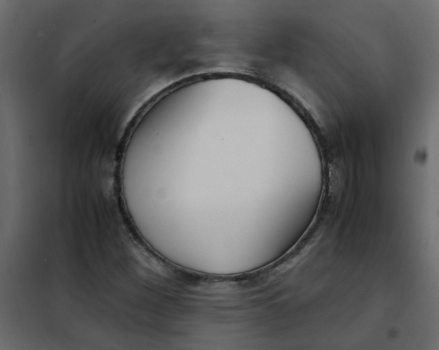 X0000101991260200808081626