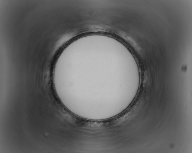 X0000101991261200808081626