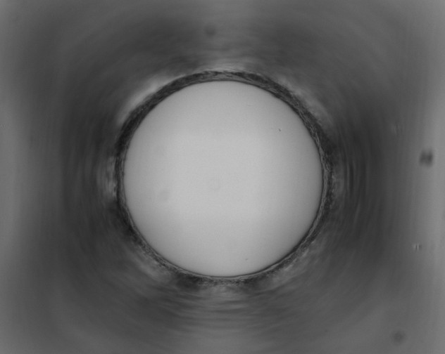 X0000101991262200808081626