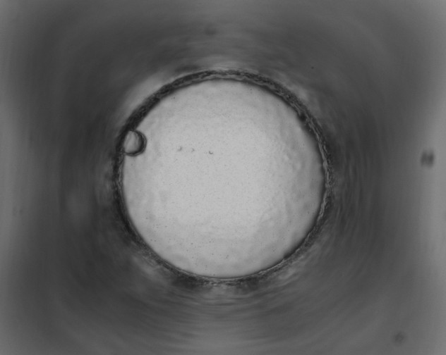 X0000101991263200808081626