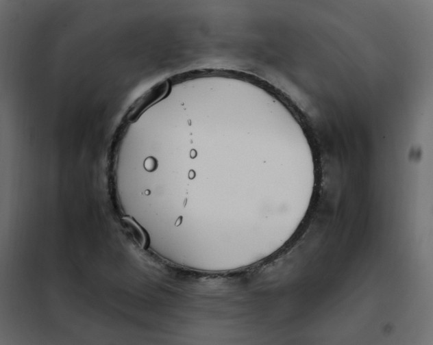 X0000101991264200808081626